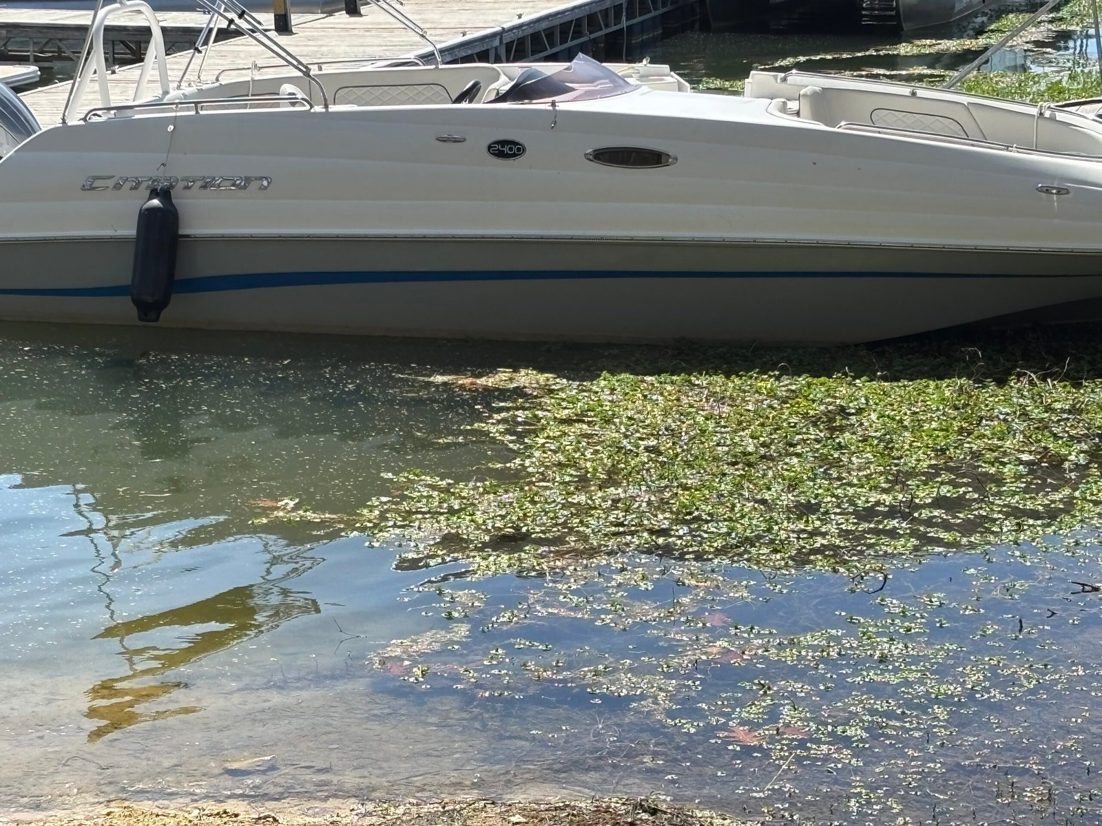 
								2023 Sea Pro 2400 Citation full									